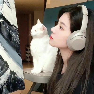 断线森林2